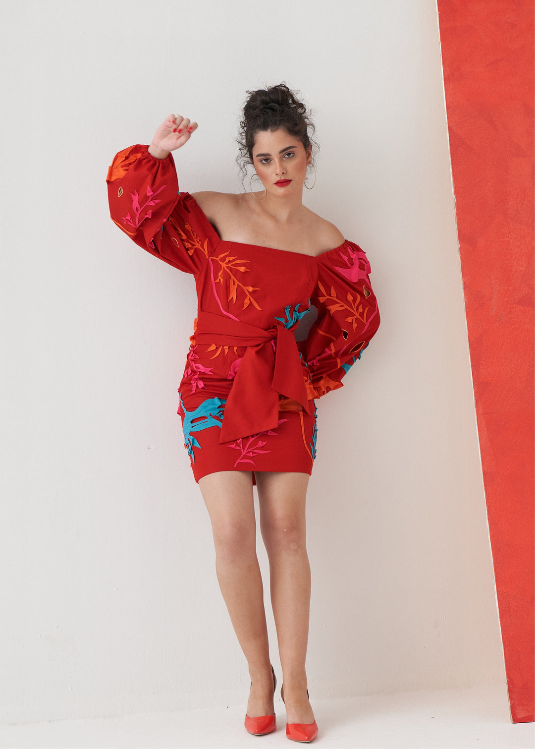 IVY Applique Dress