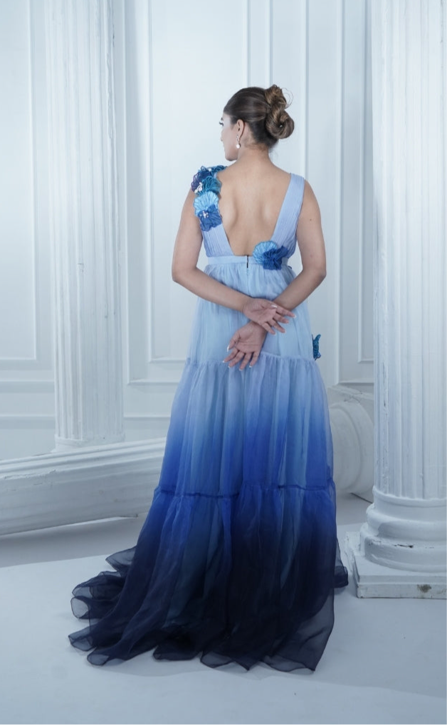 BLUEBELL organza panelled dress