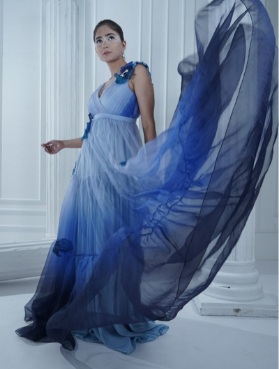 BLUEBELL organza panelled dress