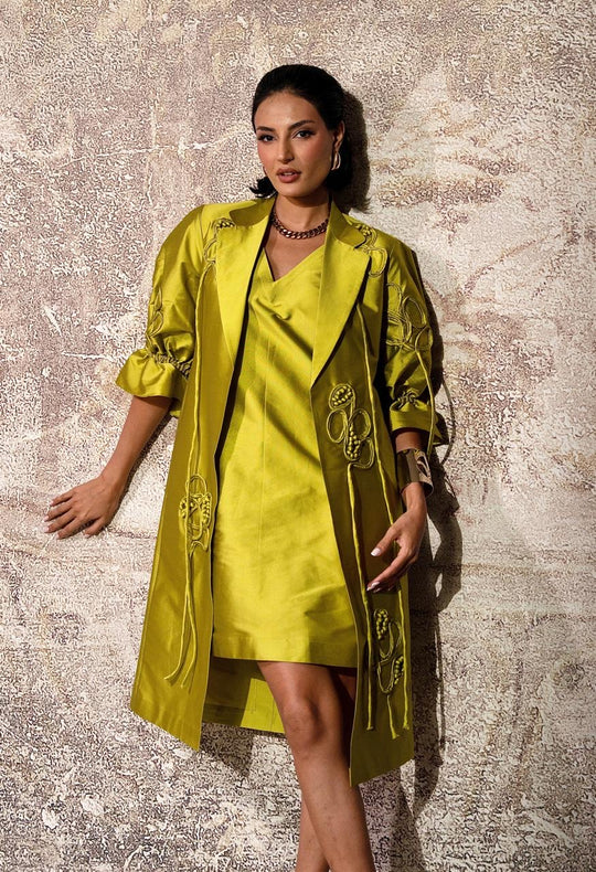 APARA dress & jacket