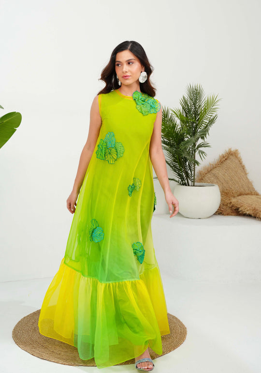 AMIA ombré dress