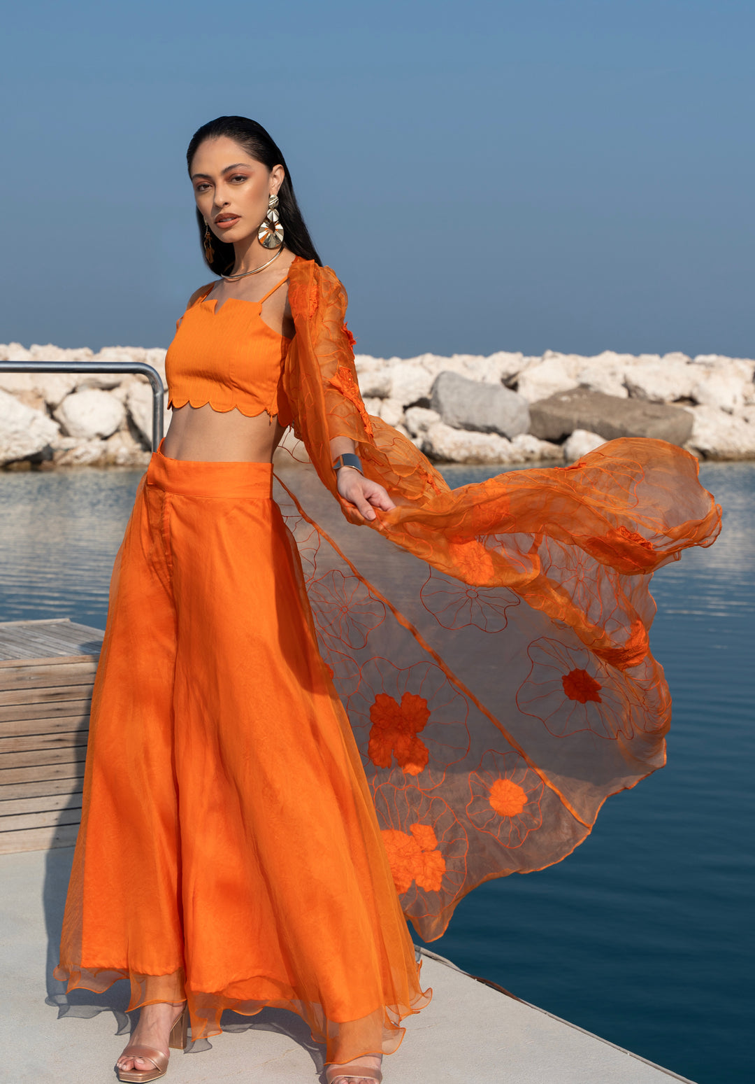 LIANA Organza Set With Floral Embroidery