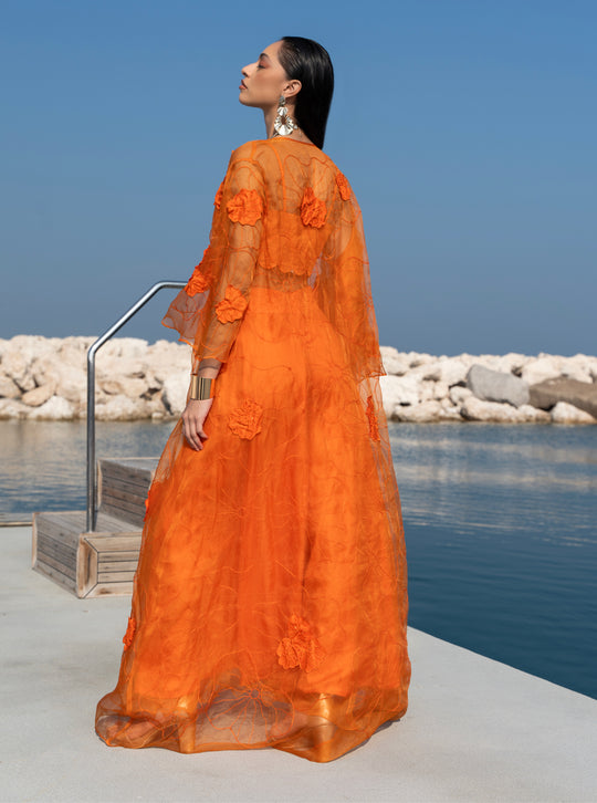 LIANA Organza Set With Floral Embroidery