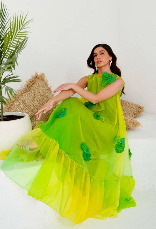 AMIA ombré dress