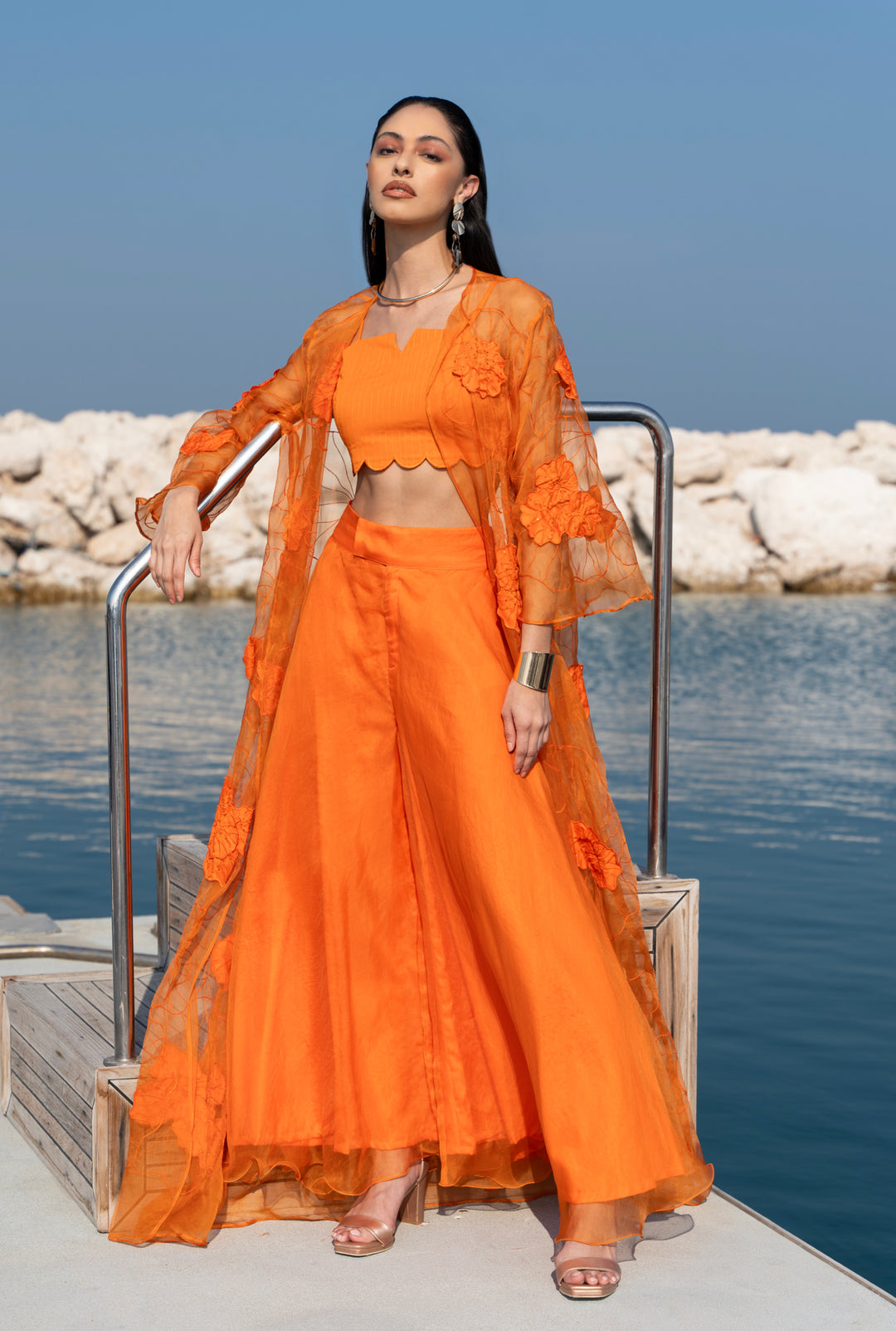 LIANA Organza Set With Floral Embroidery
