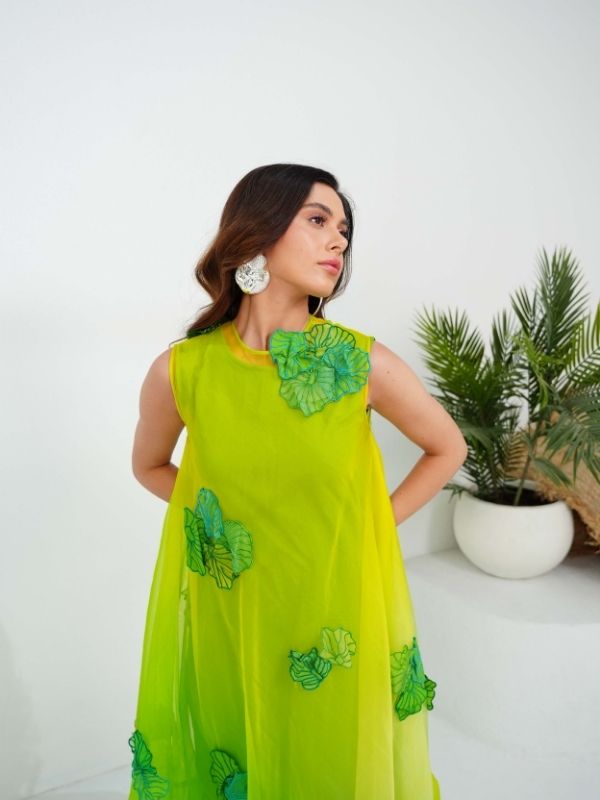 AMIA ombré dress