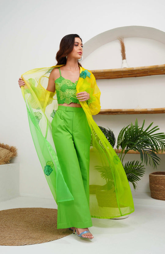 ANIS Co-ord set
