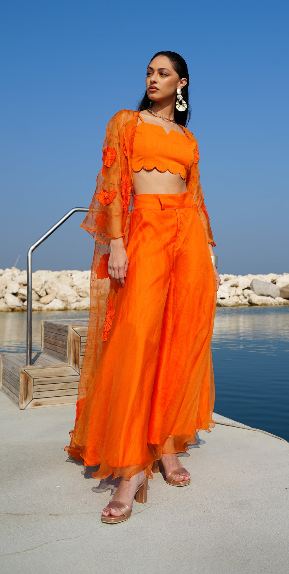 LIANA Organza Set With Floral Embroidery