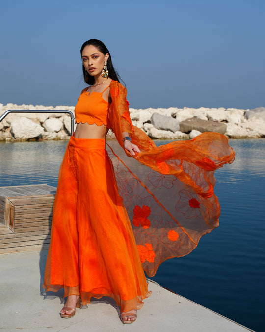 LIANA Organza Set With Floral Embroidery