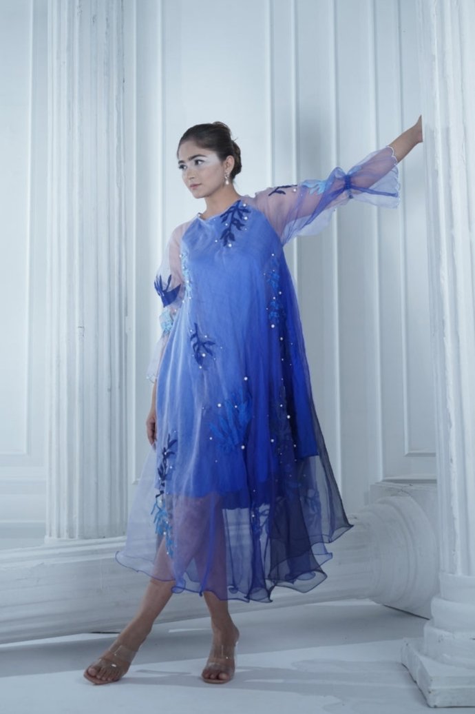 RAGA organza dress