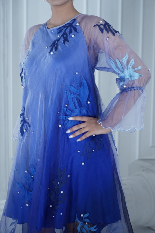 RAGA organza dress