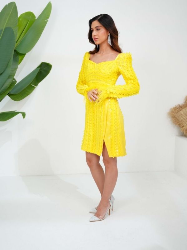 SIERRA sequinned cutwork dress