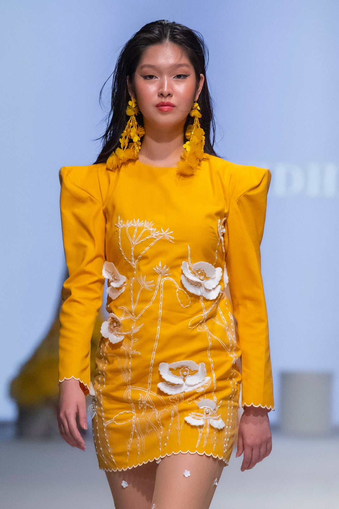 DIVA appliqué dress
