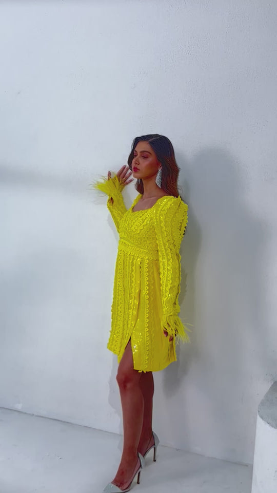 SIERRA sequinned cutwork dress