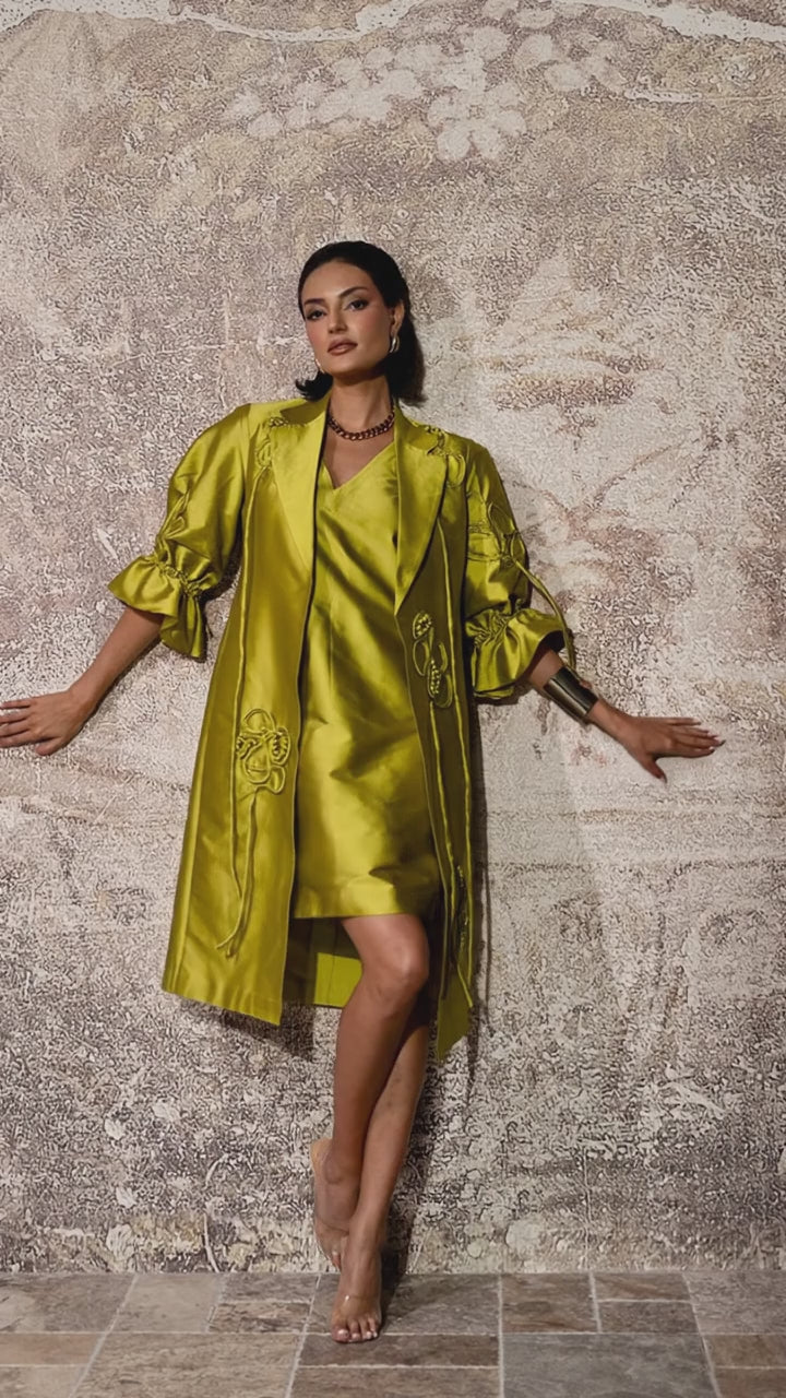 APARA dress & jacket