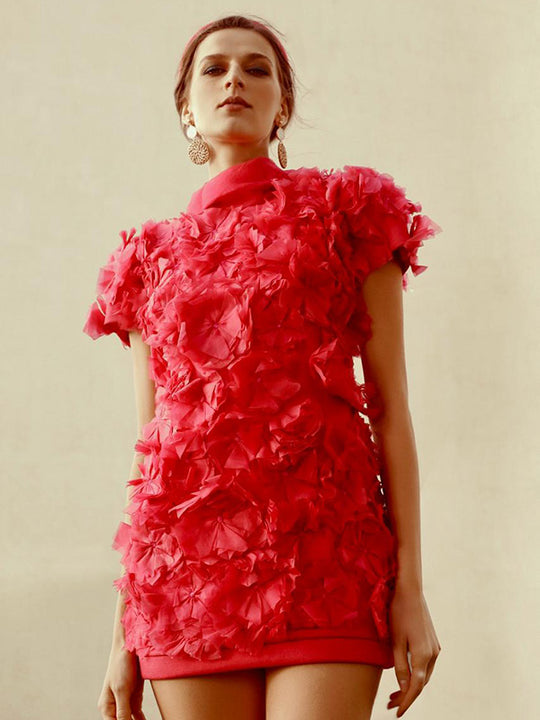 JUNO Floral Applique Dress