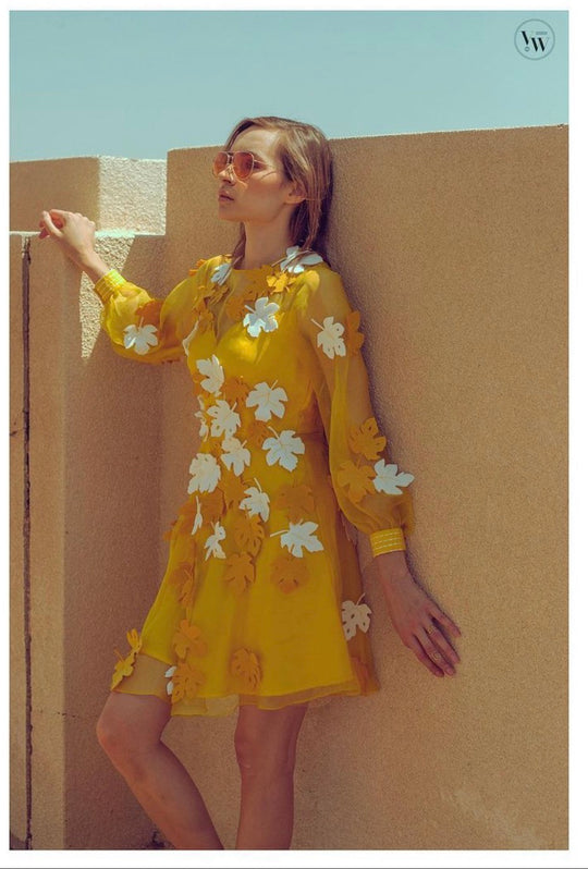 SAGE Appliqué Organza Dress