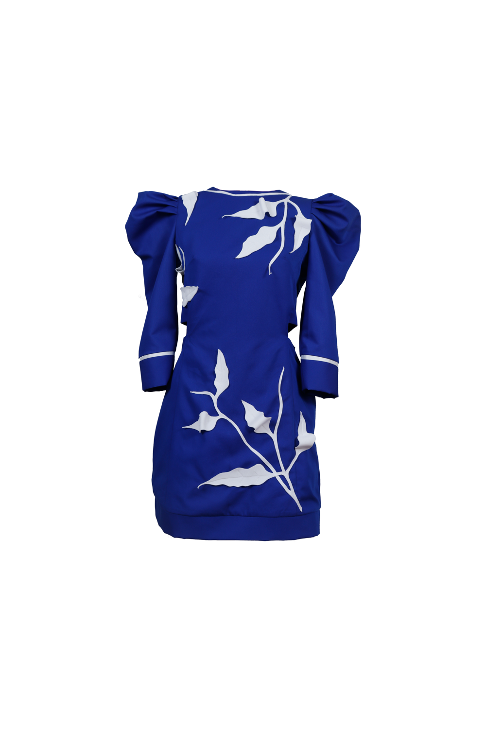 AMORE Structured Dress With Botanical Appliqué