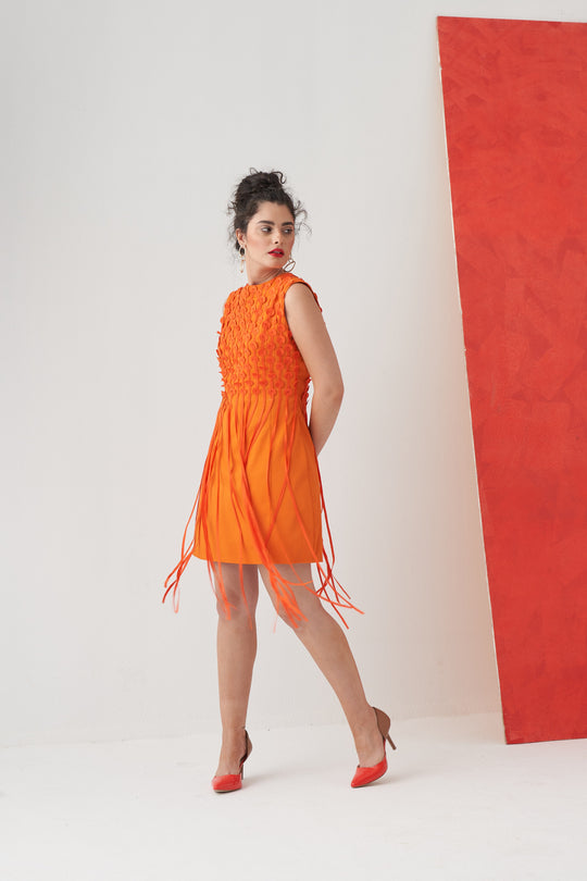 CITRUS Fringe Dress