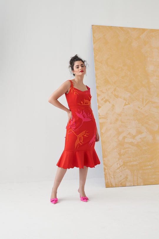 SIENNA Peplum Dress With Botanical Applique