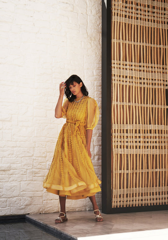 ALIZA Organza Floral Appliqué Dress